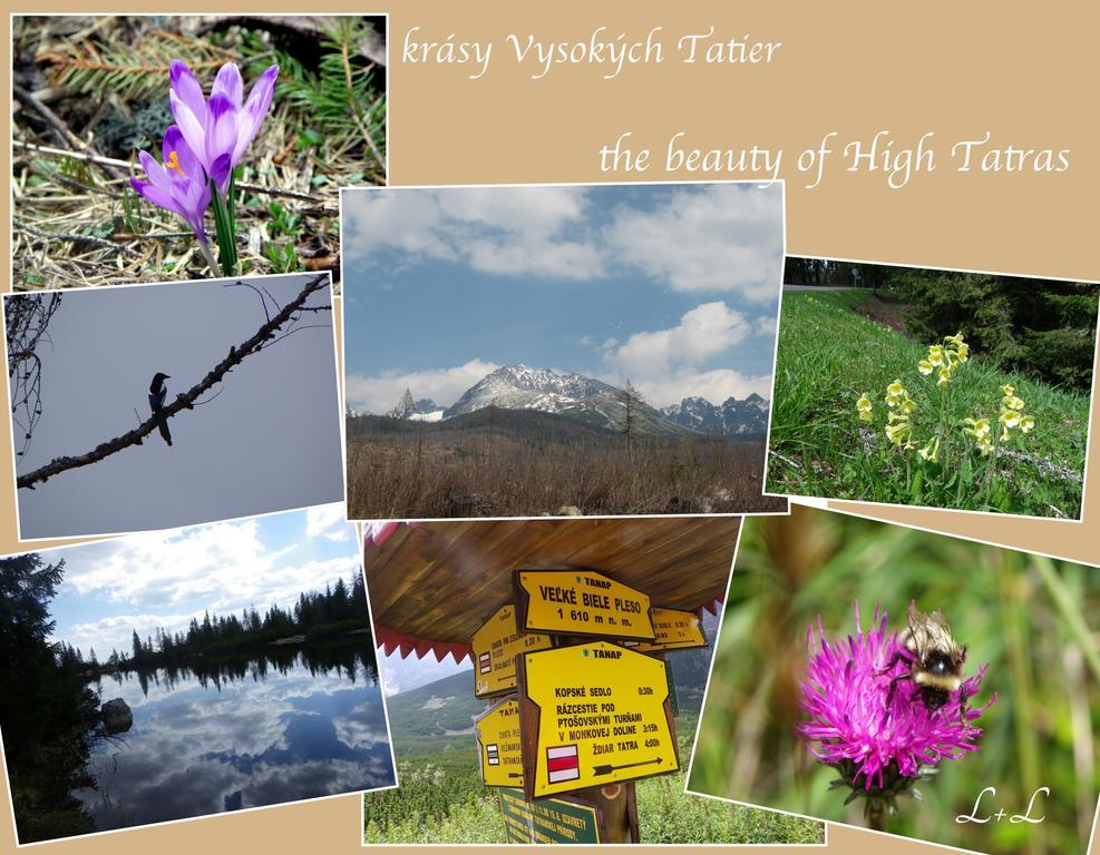 Apartmany Hagy L+L Vysoké Tatry Exteriör bild